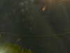 20241005011251-G0016892.JPG