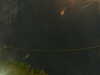 20241005012247-G0016931.JPG
