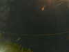 20241005012348-G0016935.JPG