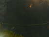 20241005012403-G0016936.JPG