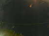 20241005012605-G0016944.JPG