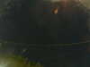 20241005012954-G0016959.JPG
