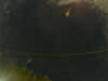 20241005013040-G0016962.JPG