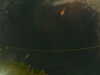20241005013056-G0016963.JPG