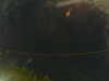20241005013111-G0016964.JPG
