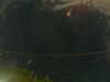 20241005013157-G0016967.JPG