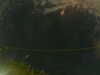 20241005013258-G0016971.JPG