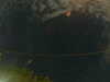 20241005013359-G0016975.JPG