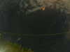 20241005013414-G0016976.JPG
