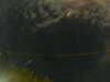 20241005013546-G0016982.JPG