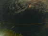 20241005013616-G0016984.JPG