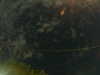 20241005014511-G0017019.JPG