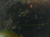 20241005014526-G0017020.JPG