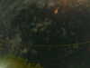 20241005014541-G0017021.JPG