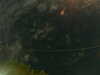20241005014627-G0017024.JPG