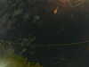 20241005014915-G0017035.JPG