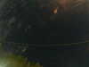 20241005015118-G0017043.JPG