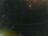20241005015350-G0017053.JPG