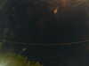20241005015405-G0017054.JPG