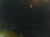 20241005015537-G0017060.JPG