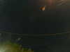 20241005020852-G0017112.JPG