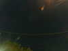 20241005020938-G0017115.JPG