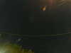 20241005021256-G0017128.JPG