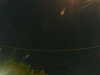 20241005021311-G0017129.JPG