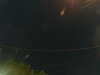 20241005022004-G0017156.JPG