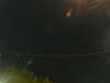 20241005022019-G0017157.JPG