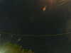 20241005022050-G0017159.JPG