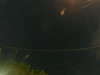 20241005022221-G0017165.JPG