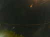 20241005023132-G0017201.JPG