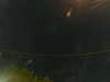 20241005023521-G0017216.JPG
