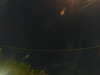20241005023551-G0017218.JPG