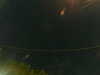 20241005023910-G0017231.JPG