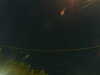 20241005024548-G0017257.JPG