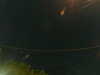20241005024805-G0017266.JPG