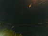 20241005024907-G0017270.JPG