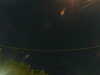 20241005025155-G0017281.JPG