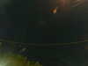 20241005025529-G0017295.JPG