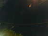 20241005030339-G0017327.JPG