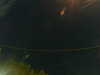 20241005030425-G0017330.JPG