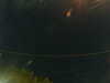 20241005033143-G0017437.JPG