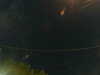 20241005033618-G0017455.JPG