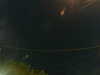 20241005033952-G0017469.JPG