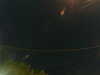 20241005034311-G0017482.JPG
