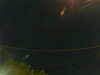 20241005034326-G0017483.JPG
