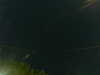20241005034817-G0017502.JPG
