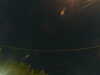 20241005040522-G0017569.JPG
